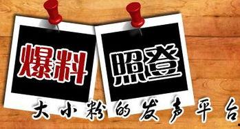 丰顺新闻爆料,揭秘当地热点事件背后的真相  第2张